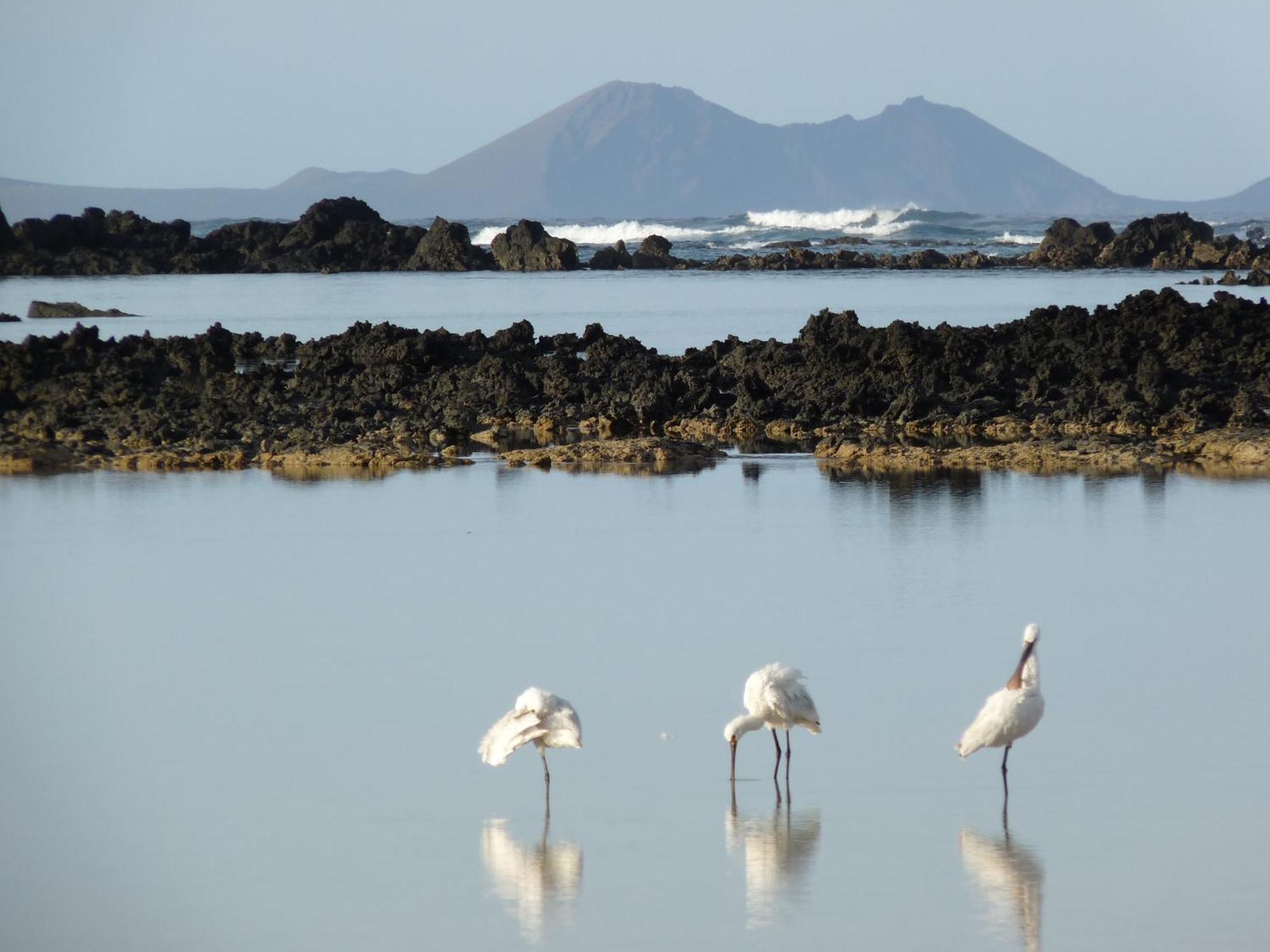 Casa Ana Y El Mar - Para Enamorados Del Mar - Lanzarote Teguise  Eksteriør billede